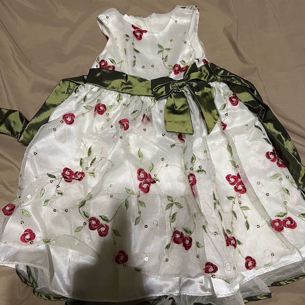 Baby Girls Floral Embroidered Dress 24M